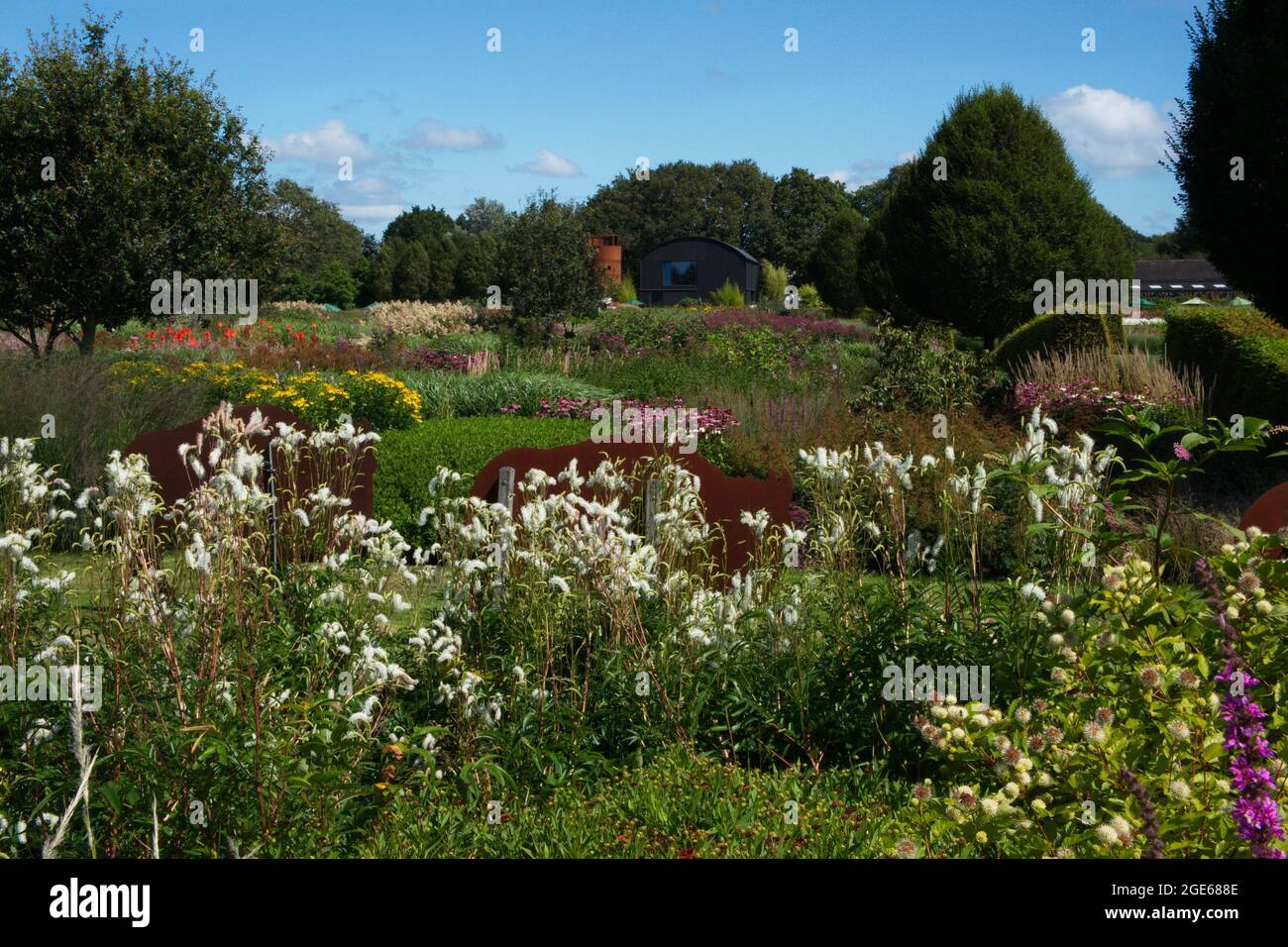 Une grande bordure de fleur colorée Banque D'Images