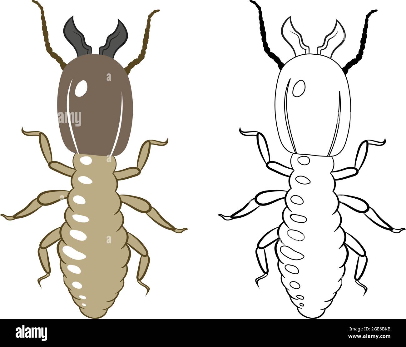 Termite 2d Vector Clipart. Insectes Bugs vers parasites et mouches isolées. Illustration de Vecteur