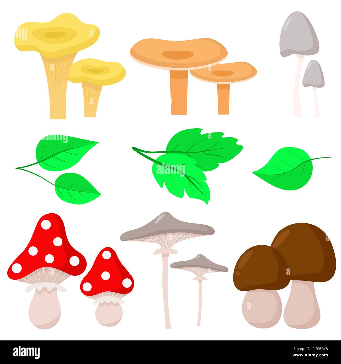 Illustration vectorielle de l'ensemble de champignons et de feuilles. Cadeaux naturels de la forêt d'automne. Champignons biologiques. Des feuilles colorées et brillantes tombent. Illustration de Vecteur