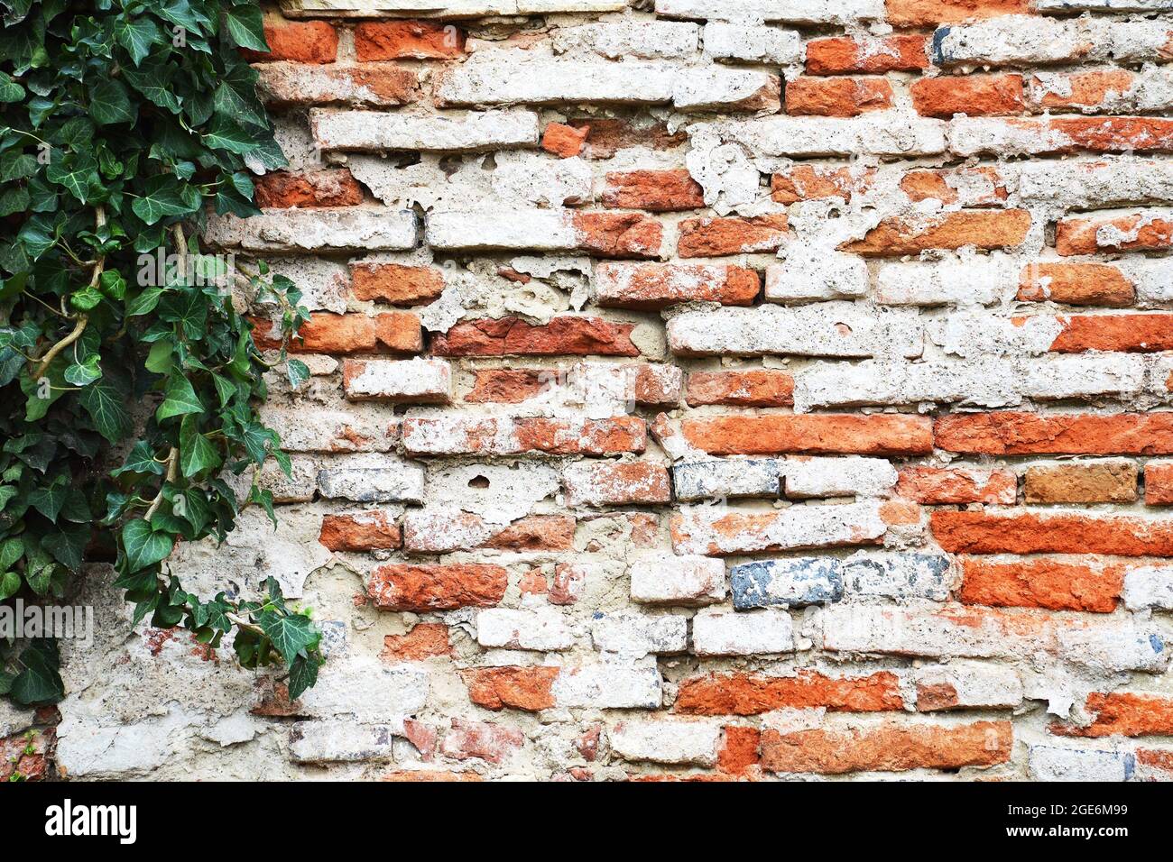 Vieux mur de briques rouges et usine de varappe Banque D'Images