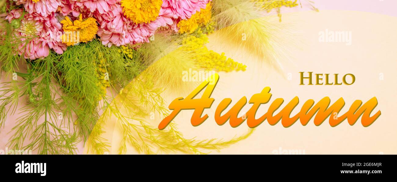 Papier peint Hello Autumn, fond d'écran automnal avec fleurs roses jaunes Banque D'Images