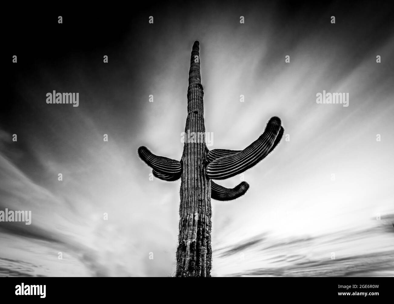 Sonoran Desert Sunset Arizona Banque D'Images