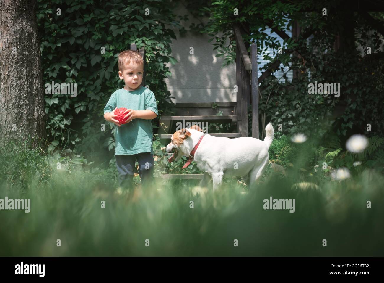 Petit enfant a joué avec le chien blanc chiot race Jack russel terrier dans la cour d'été. Concept d'enfance heureuse Banque D'Images