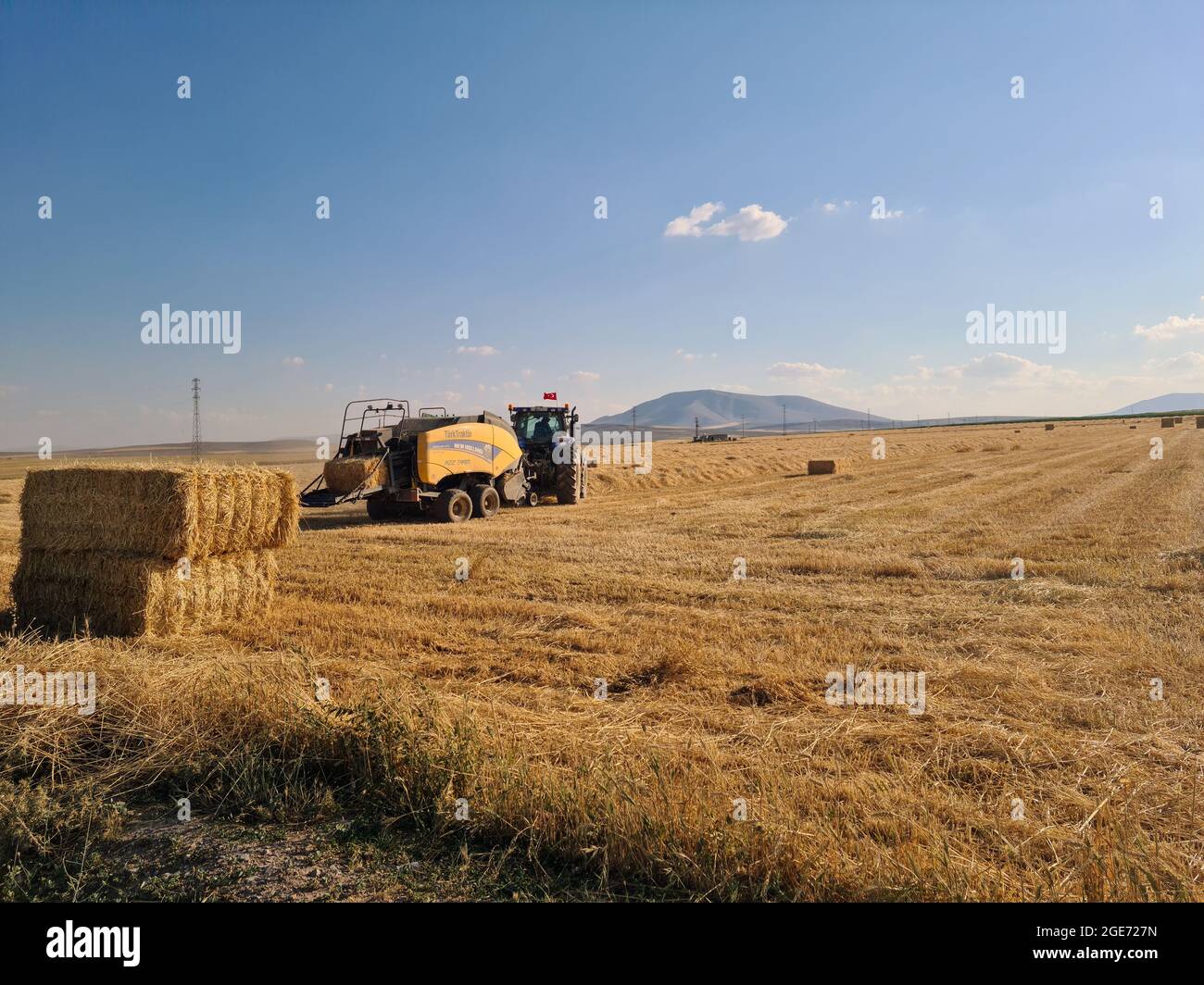 Tracteur récolte de paille, champ de paille, balle de paille Banque D'Images
