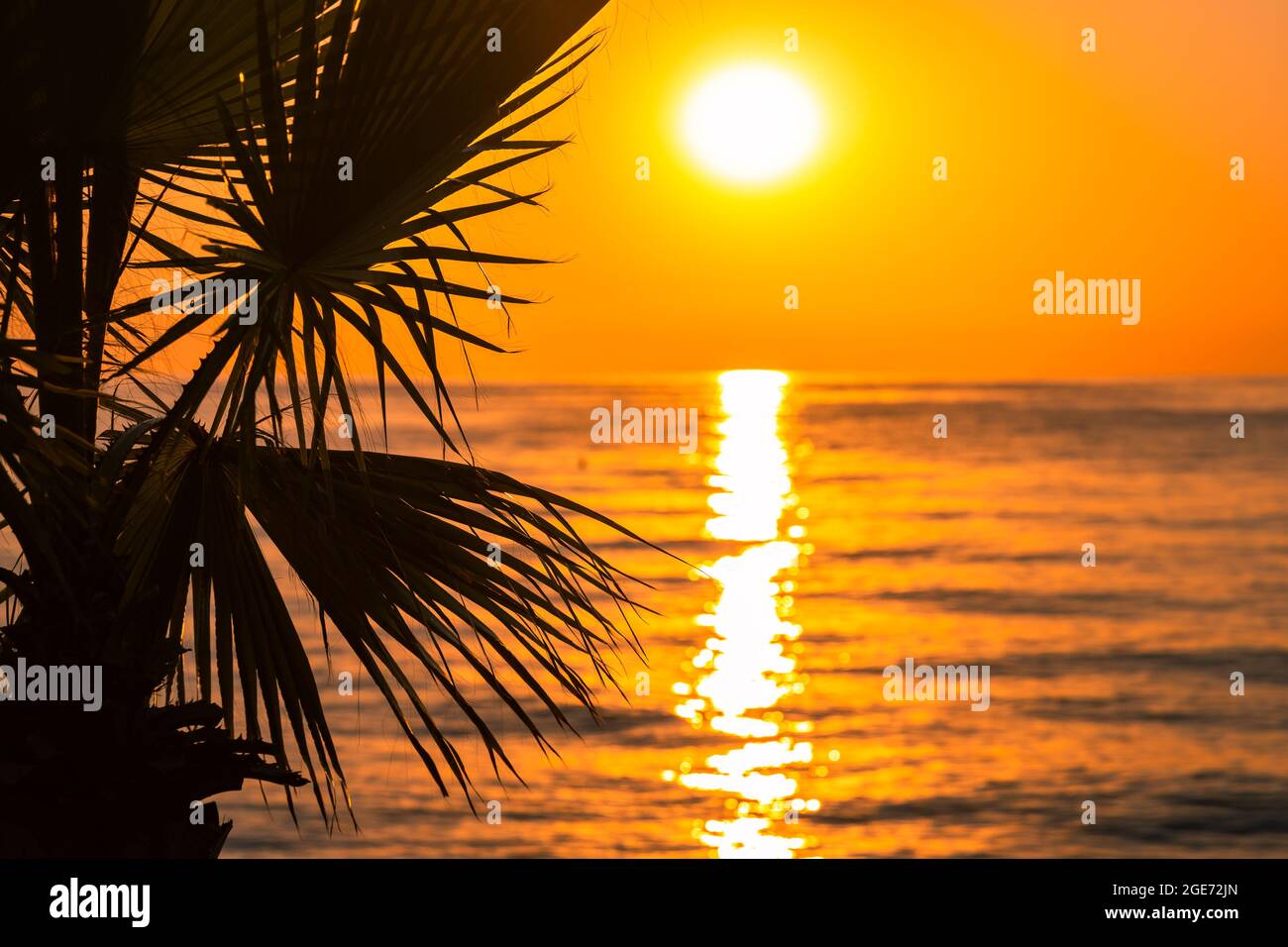 Magnifique Plage Paradisiaque Coucher De Soleil Avec Reflet De L Eau Silhouette De Palmiers Au Lever Du Soleil Copy Space Photo Stock Alamy