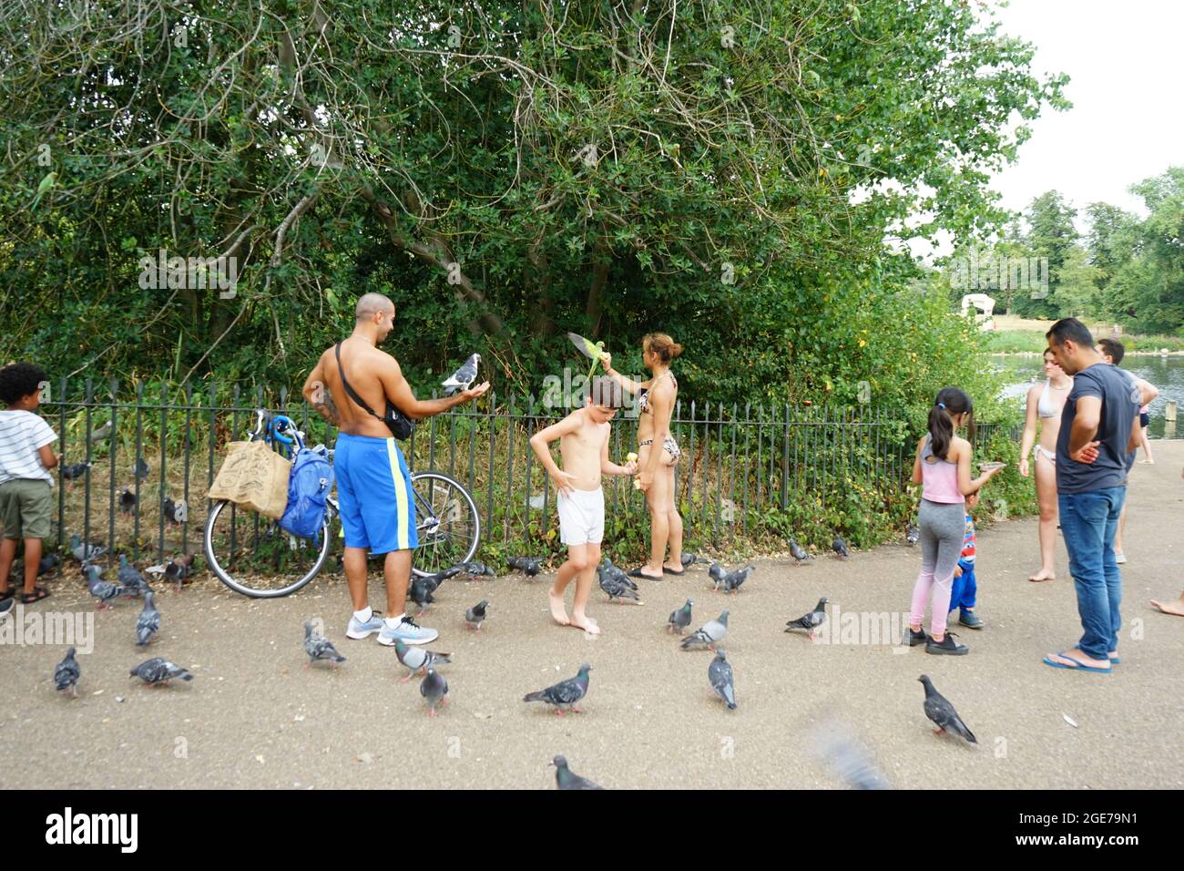 Oiseaux amoureux interagissant et nourrissant des oiseaux à Hype Park à Londres, Angleterre, Royaume-Uni Banque D'Images