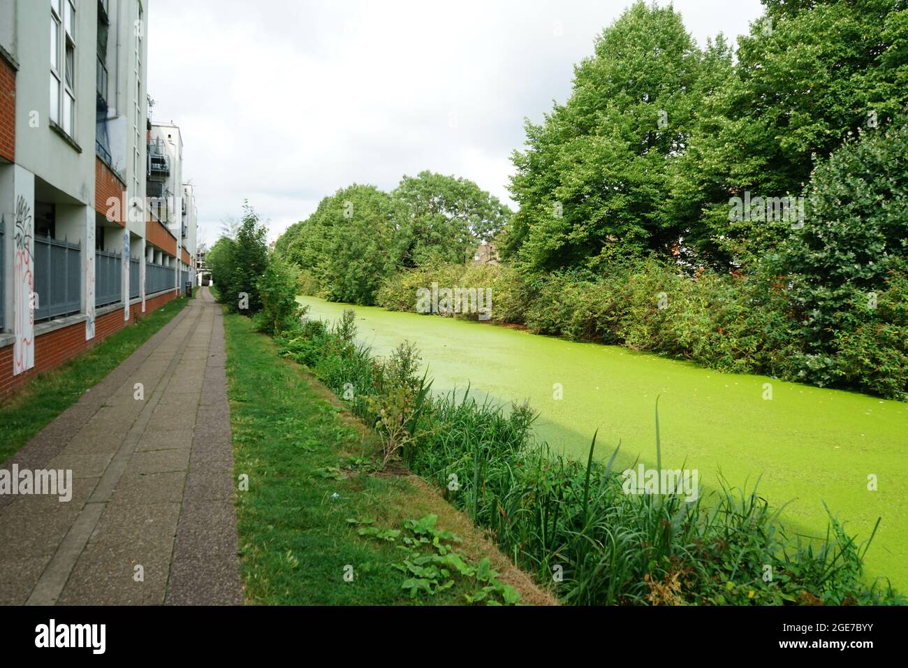 Little Venice, de Warwick Ave à Ladbroke Grove, à Londres, Angleterre, Royaume-Uni Montrant le vert de la chute des feuilles d'automne Banque D'Images