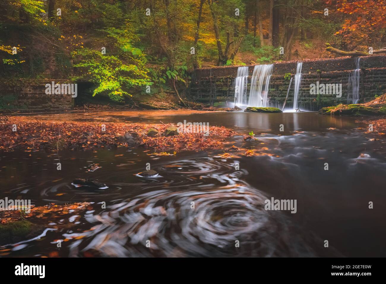 Une scène forestière d'automne calme, intime et colorée avec chute d'eau et tourbillons de feuilles à la surface de l'eau depuis un long moment de calme à Gore Glen à l'extérieur d'Edin Banque D'Images