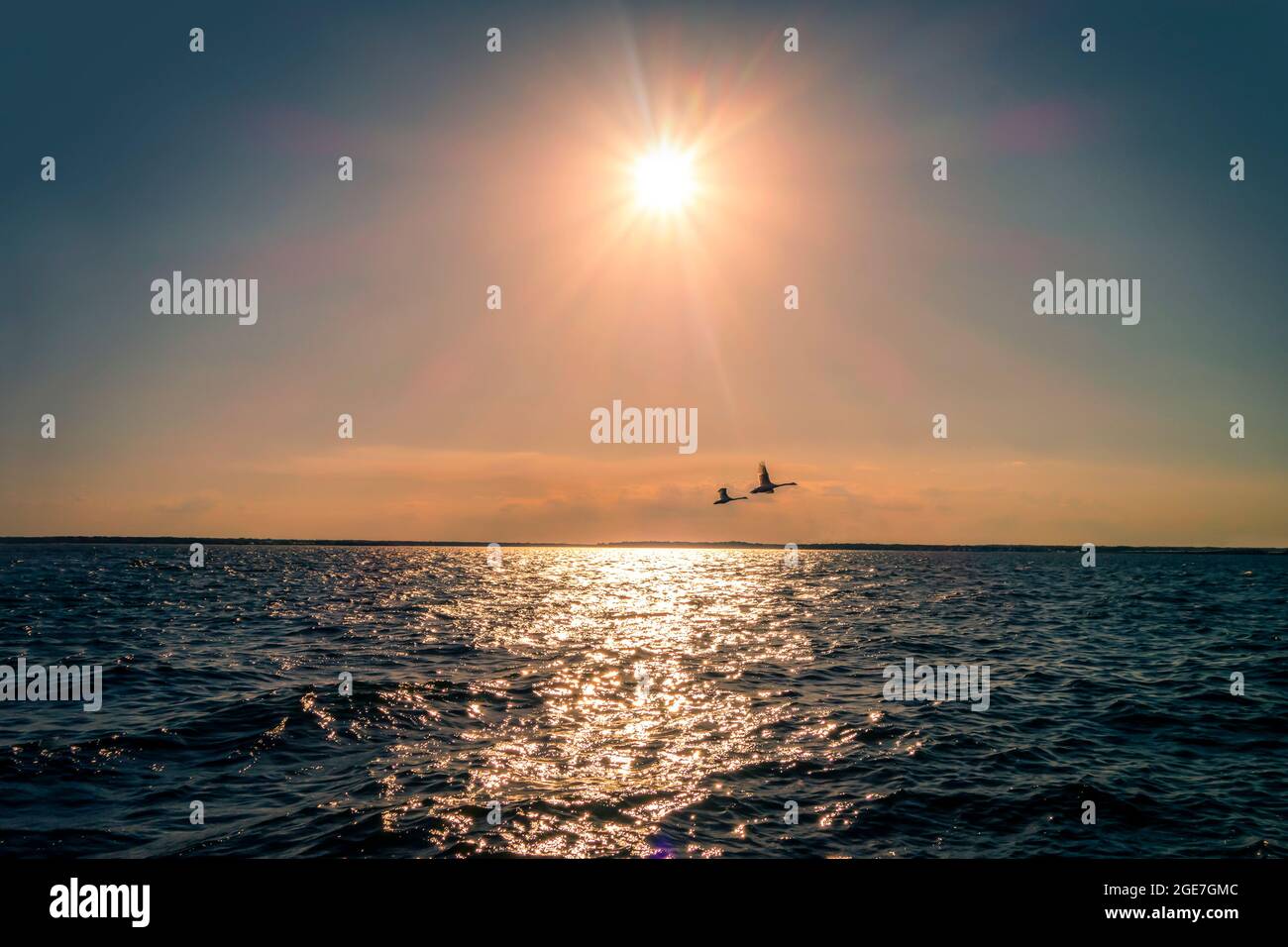 deux silhouettes d'oies volantes au-dessus des eaux de l'océan et ciel ensoleillé Banque D'Images