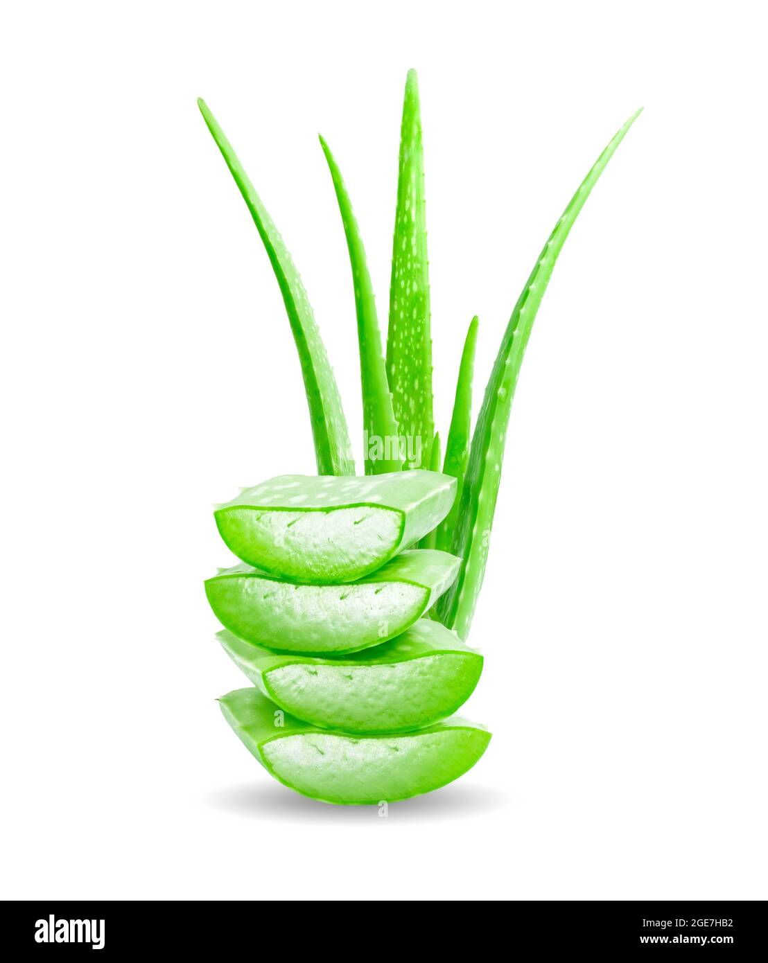 Tranche d'Aloe vera fraîche isolée sur fond blanc. Concept de produits de santé et de beauté. Banque D'Images