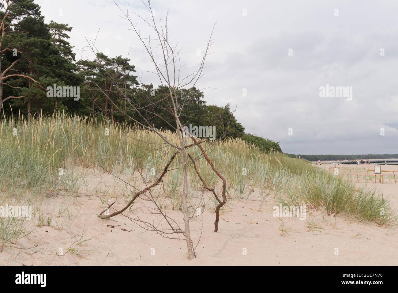 Belle plage de sable blanc avec des nuages dans le sud-ouest de la Suède. L'emplacement est Ystad, Suède. Banque D'Images