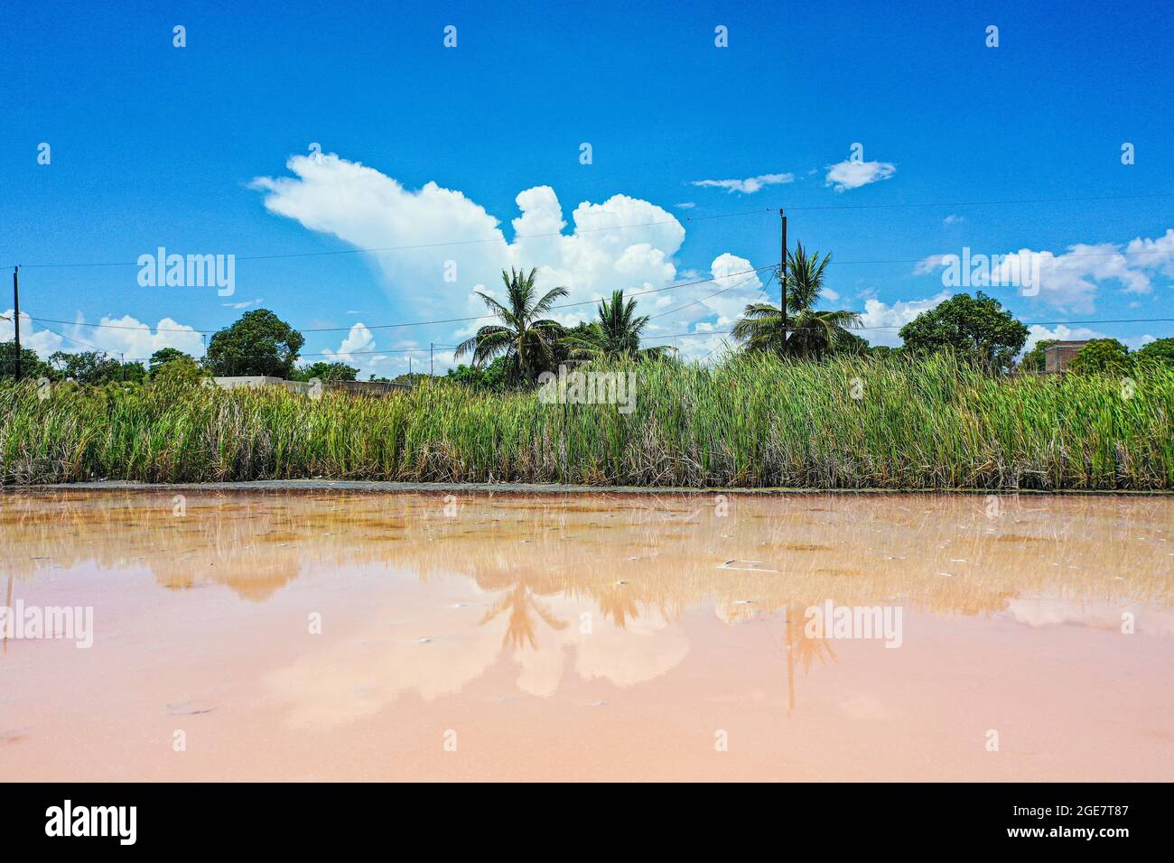 Reflet miroir des nuages et du ciel bleu dans un étang d'eau salée de l'eau de mer étant dessalée pour l'extraction du sel dans la communauté de Yavaros, municipalité de Huatabampo, Sonora, Mexique. Extraction de solution hydraulique ou salée, eau sous la surface de la terre qui dissout les dépôts de sel, Formation d'une saumure pendant le processus .. Couleur verte, couleur orange, couleurs, couleur rose, (photo de Luis Gutierrez / NortePhoto.com) Reflejo tipo espejo de nubes y cielo azul en estanque de agua salada proveniente del agua de mar en proceso de desalinar para extracion de sal en la comunidad de ya Banque D'Images