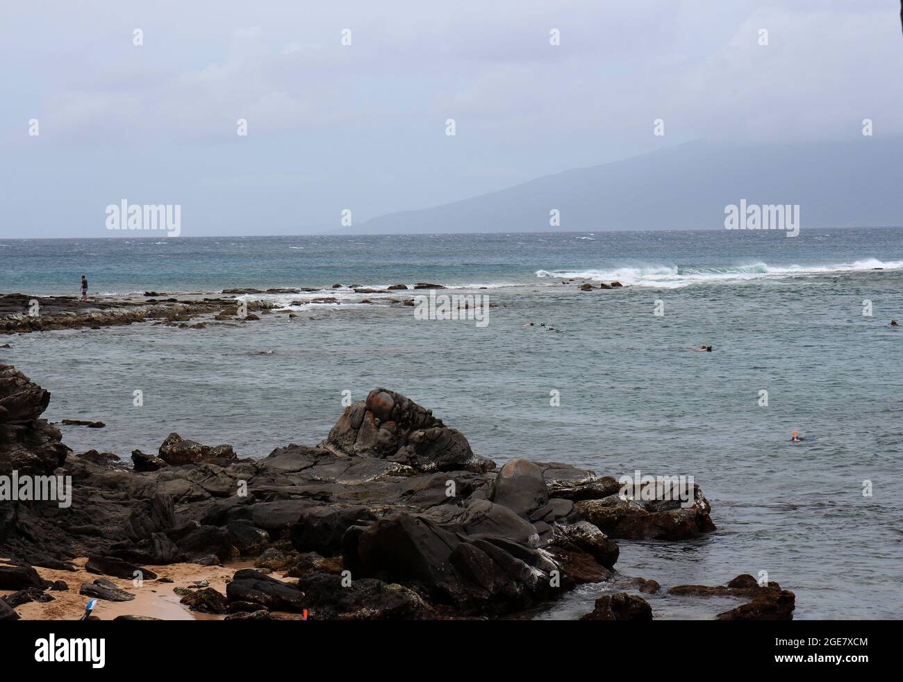 Les ronfleurs nageant dans l'océan Pacifique à Napili Bay qui est bordé par la roche volcanique avec Molokai au loin Banque D'Images
