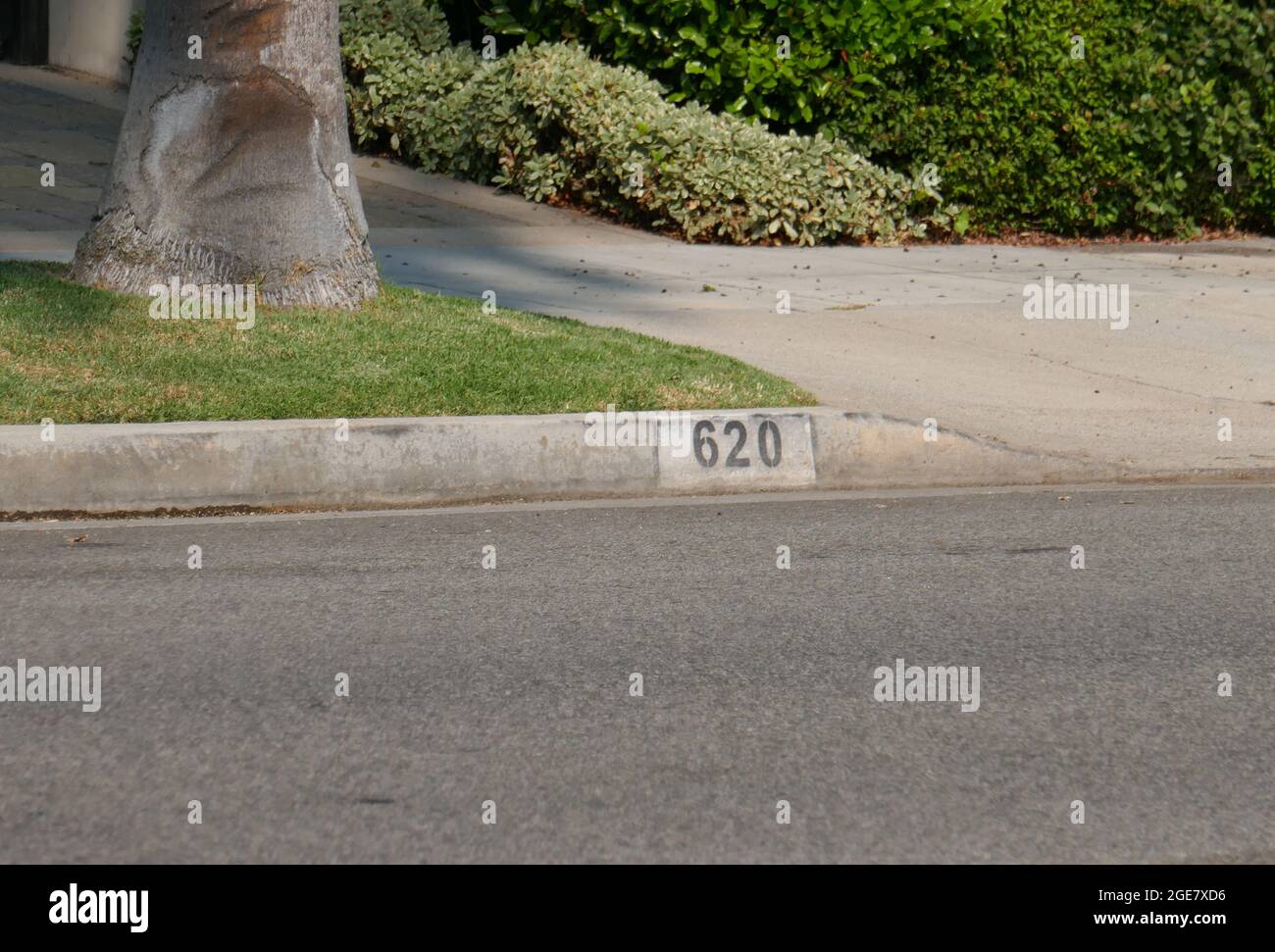 Beverly Hills, Californie, États-Unis 13 août 2021 UNE vue générale de l'atmosphère de l'acteur Macdonald Careys ancienne maison/maison au 620 N. Canon Drive le 13 août 2021 à Beverly Hills, Californie, États-Unis. Photo par Barry King/Alay stock photo Banque D'Images