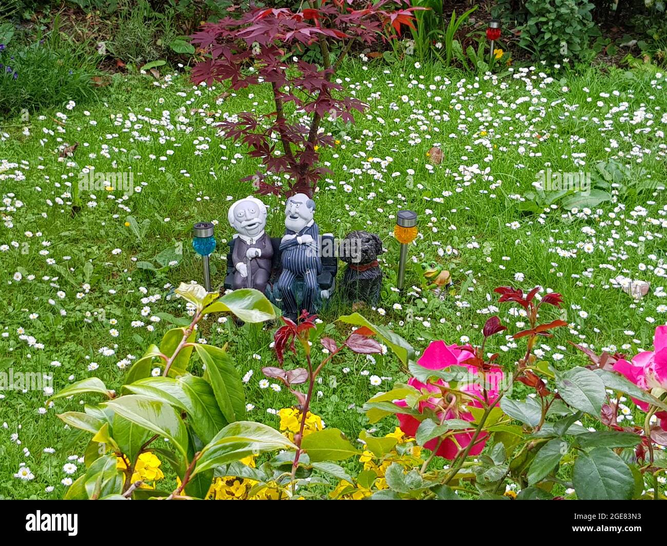 Muppet Show personnages Statler et Waldorf comme décoration jardin à Dublin, Irlande Banque D'Images
