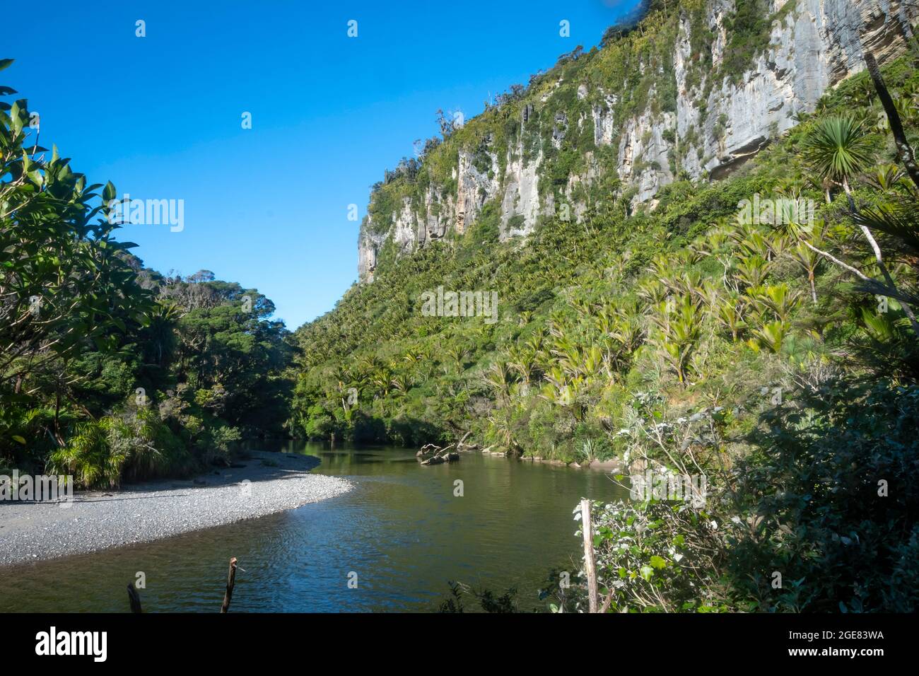 Falaises calcaires au bord de la rivière Pororari sur la piste de Paparoa, (l'une des grandes promenades de Nouvelle-Zélande), parc national de Paparoa, côte ouest, Île du Sud, Nouvelle-Zélande Banque D'Images