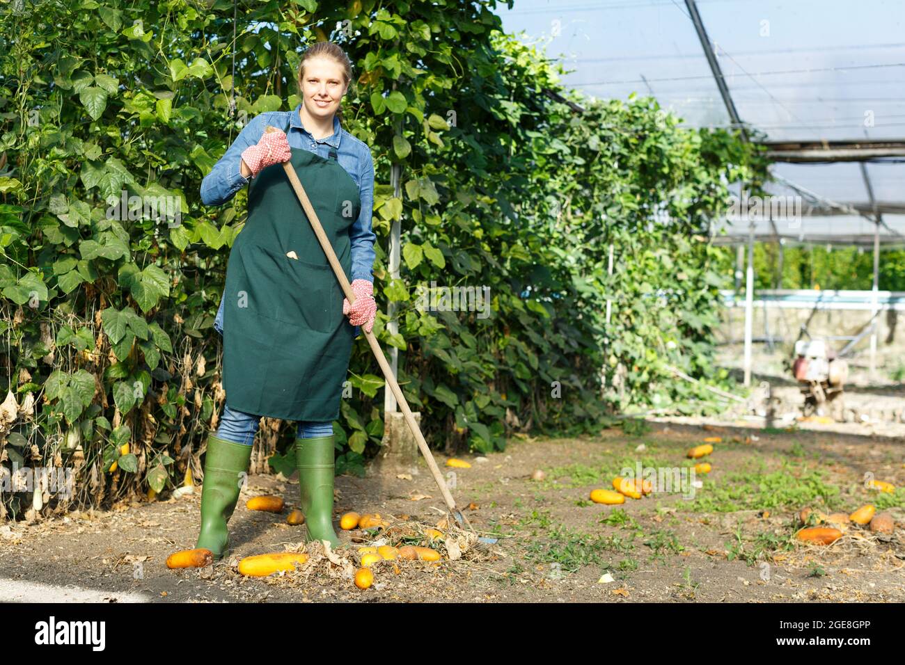 Femme agriculteur jardinage dans la serre Banque D'Images