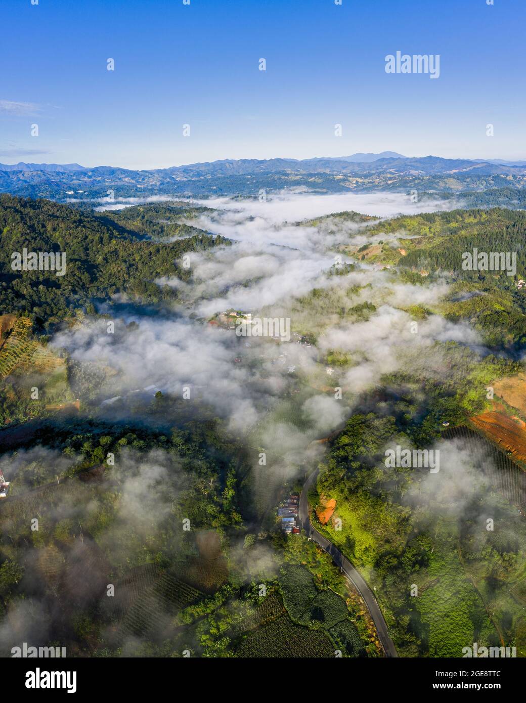 Plan vertical de collines couvertes de verdure et de brouillard à Constanza, la République dominicaine Banque D'Images