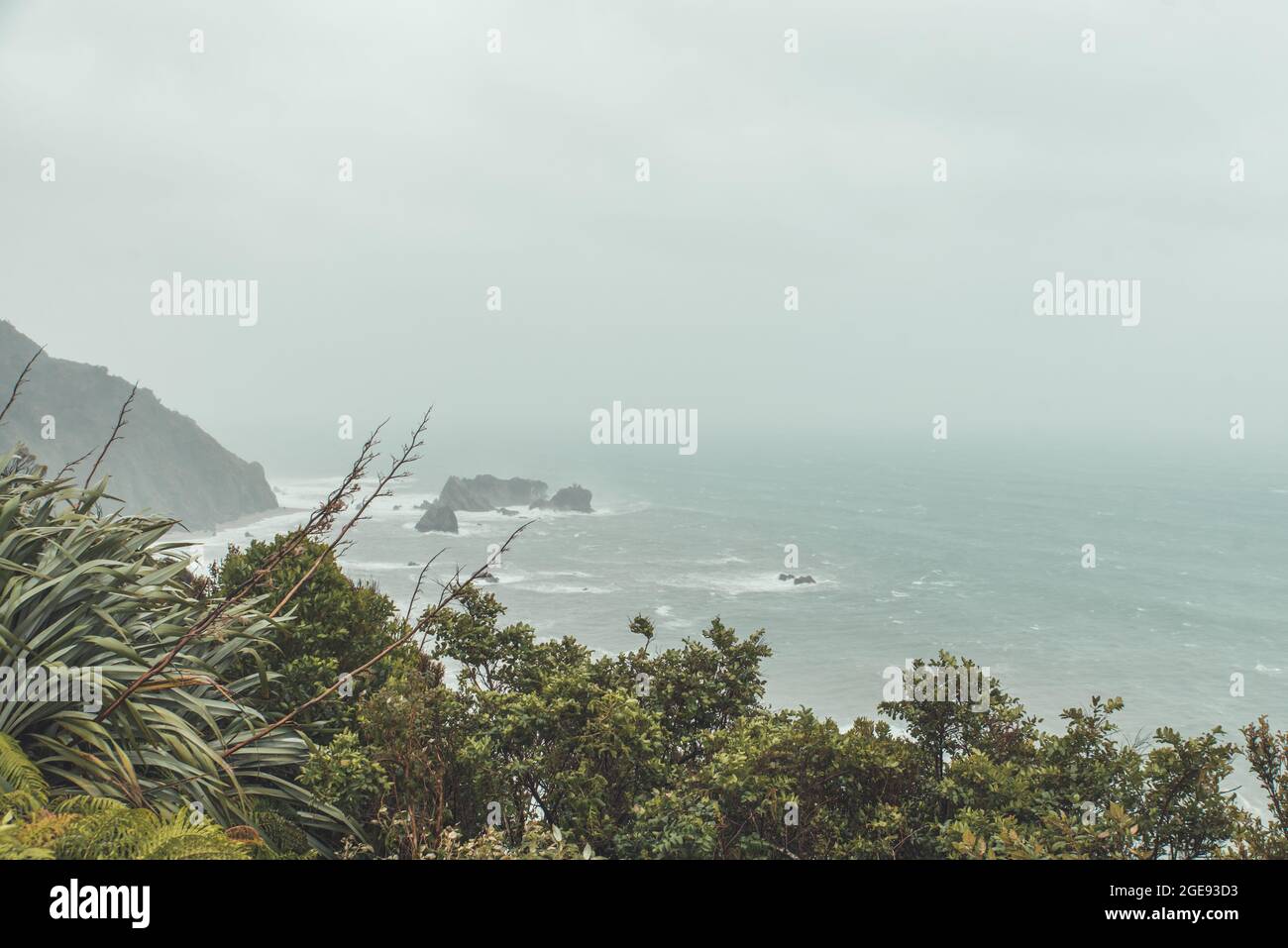 Côte de la Nouvelle-Zélande pendant les jours de pluie Banque D'Images