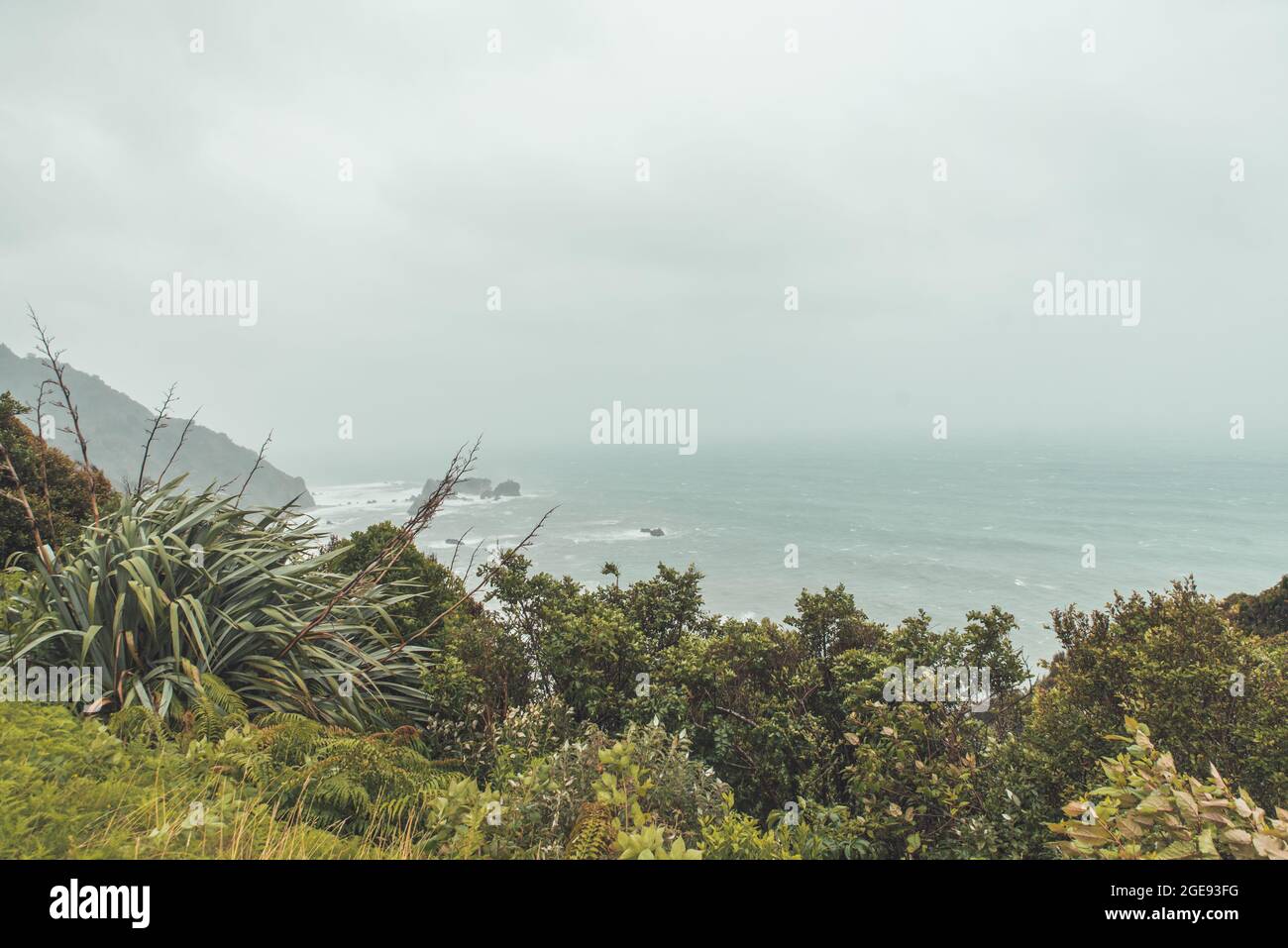 Côte de la Nouvelle-Zélande pendant les jours de pluie Banque D'Images