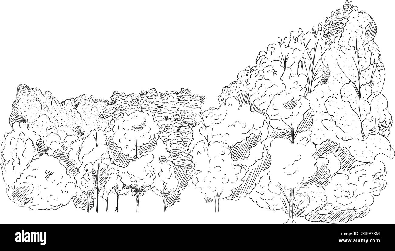 Pelouse en forêt dessin simple et rapide Illustration de Vecteur