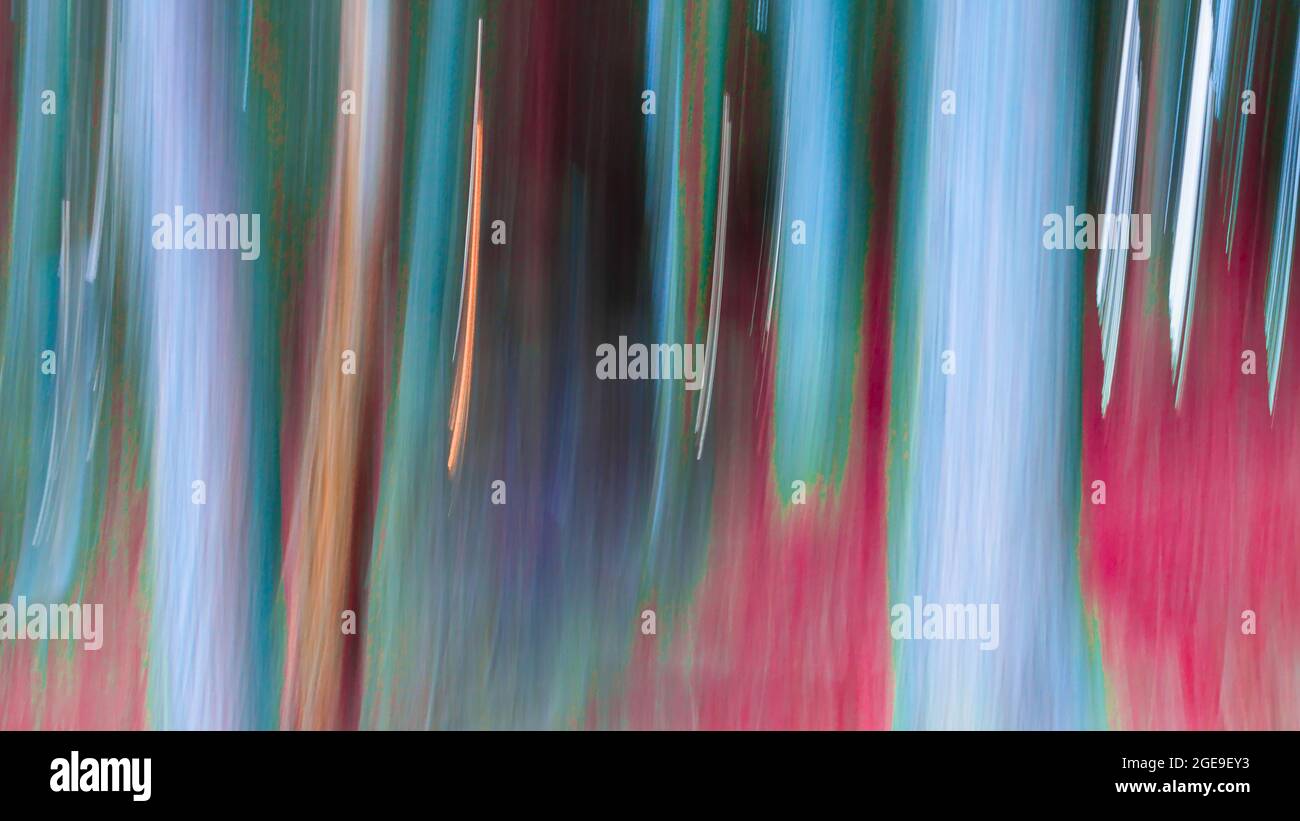 Neon Dream.photo abstraite colorée, lumineuse et vibrante créée à l'aide de la technique ICM.idéale pour l'impression d'art mural, le calendrier ou le papier peint. Banque D'Images