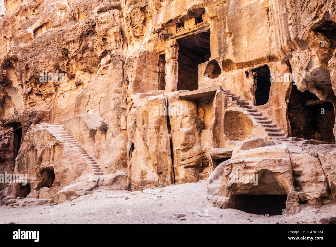 Petite petra hot sale