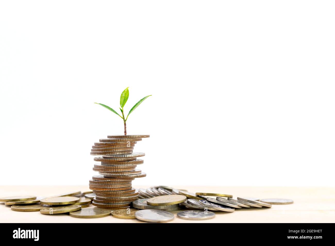 Petit arbre sur le dessus d'une pile de pièces isolées sur fond blanc, utilisé pour les idées d'affaires et la croissance financière. Banque D'Images Petit arbre sur le dessus d'une pile de pièces isolées sur fond blanc, utilisé pour les idées d'affaires et la croissance financière. Banque D'Images