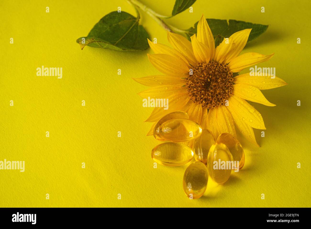 des pilules d'huile et un tournesol sur fond jaune Banque D'Images
