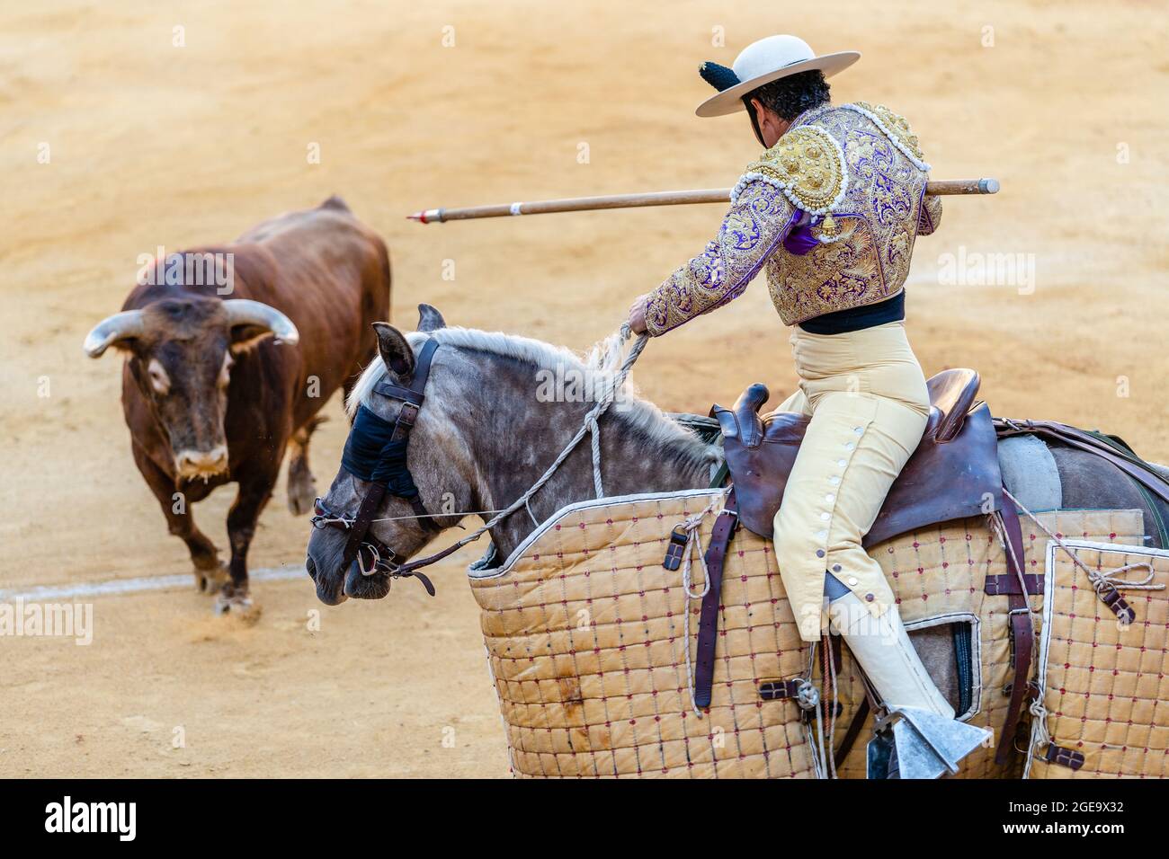 Picador méconnaissable avec lance à cheval et en train de jouer sur le taureau en colère pendant la corrida Banque D'Images