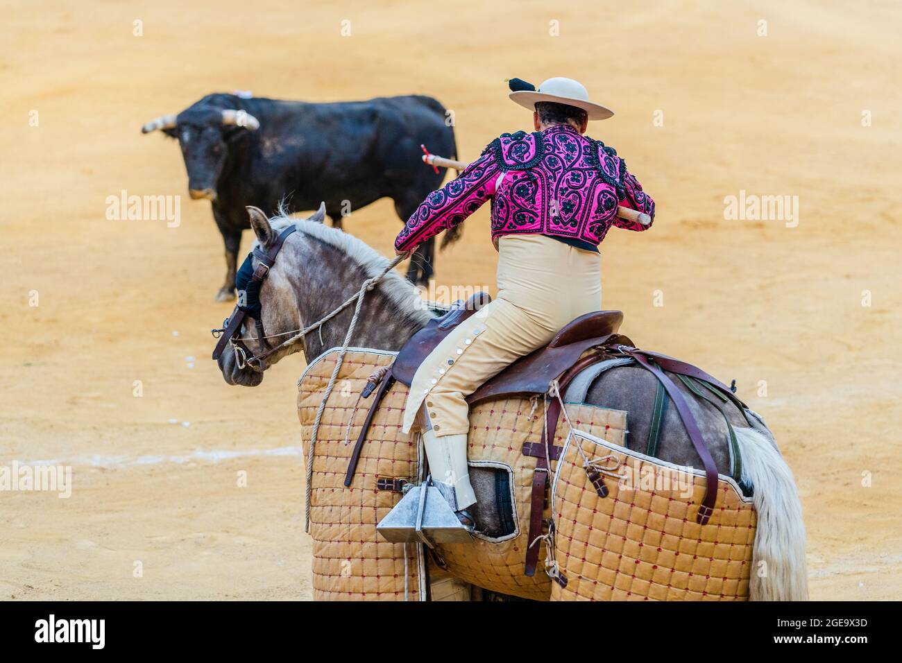Picador méconnaissable avec lance à cheval et en train de jouer sur le taureau en colère pendant la corrida Banque D'Images
