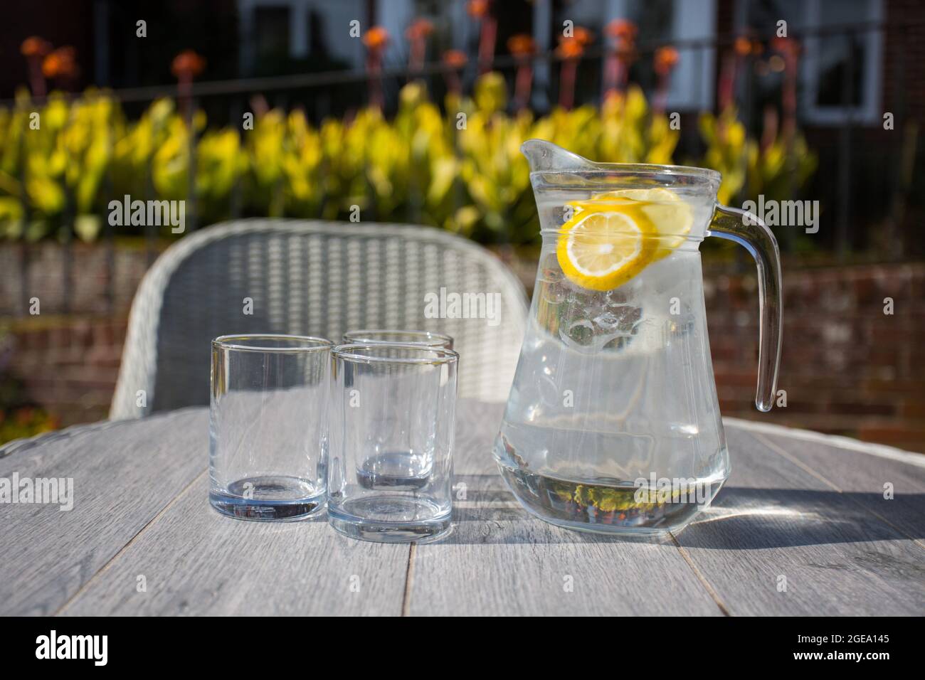 Verseuse d'eau rafraîchissante avec tranches de fruits et deux verres Banque D'Images