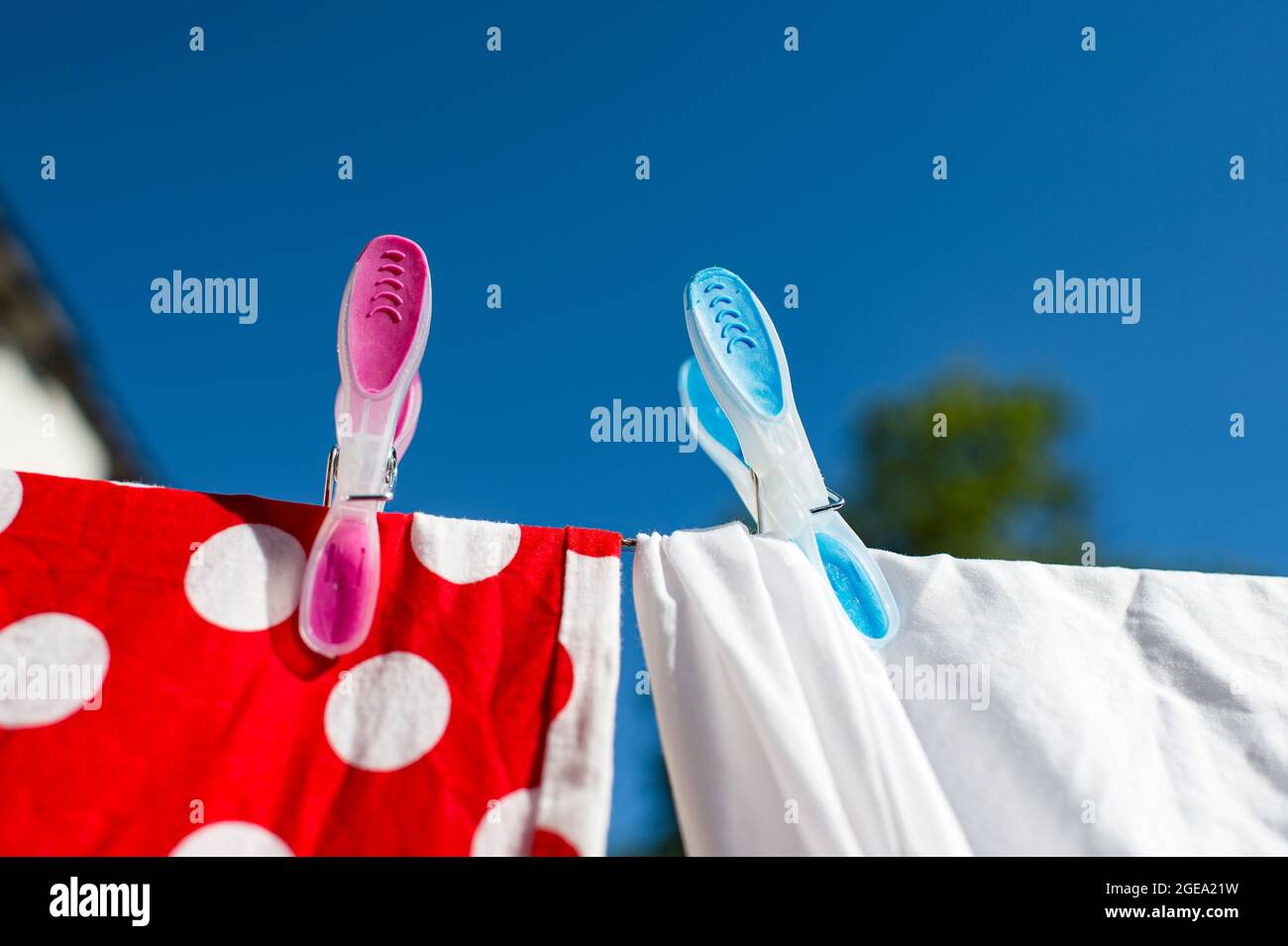 Deux chevilles aux couleurs vives pour le lavage en ligne sous un soleil éclatant. Banque D'Images