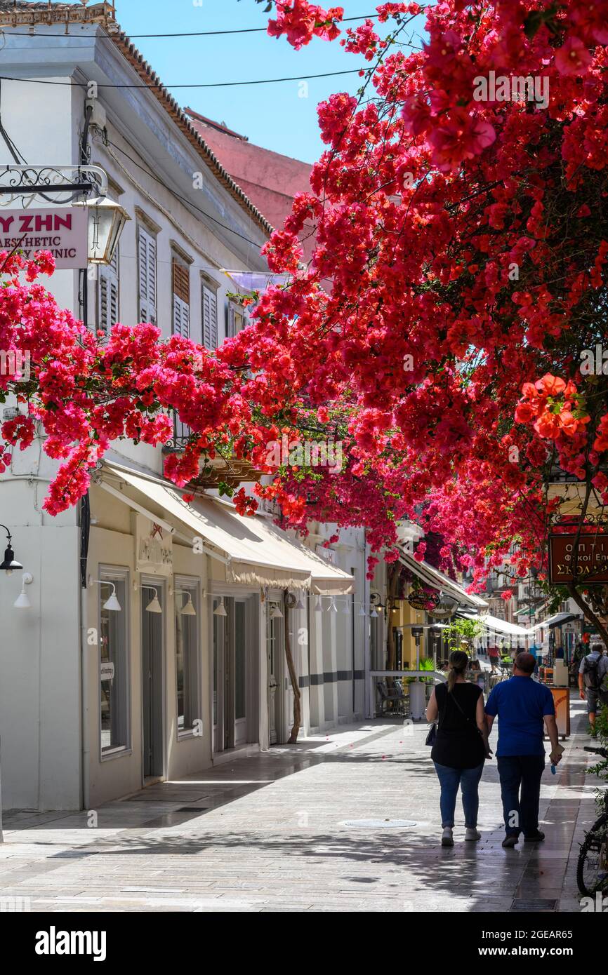 Bougainvillea en fleur crée une scène colorée dans la vieille ville de Nauplie, première capitale de la Grèce après l'indépendance, argolide, Péloponnèse, Grèce Banque D'Images