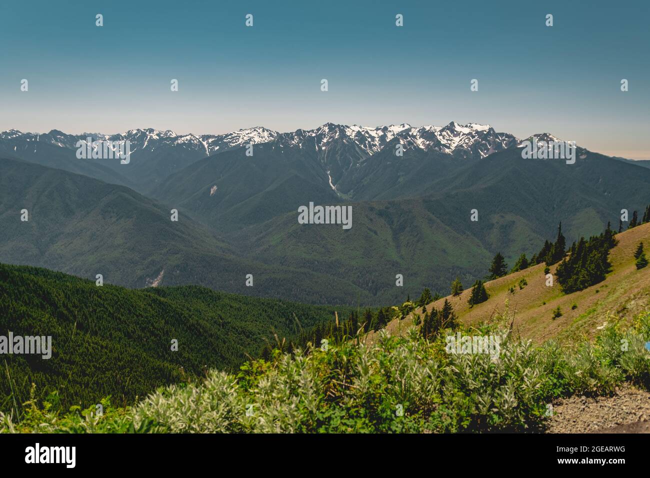 Les montagnes olympiques en été, vues depuis le sentier Hurricane Hill dans le parc national olympique. Banque D'Images