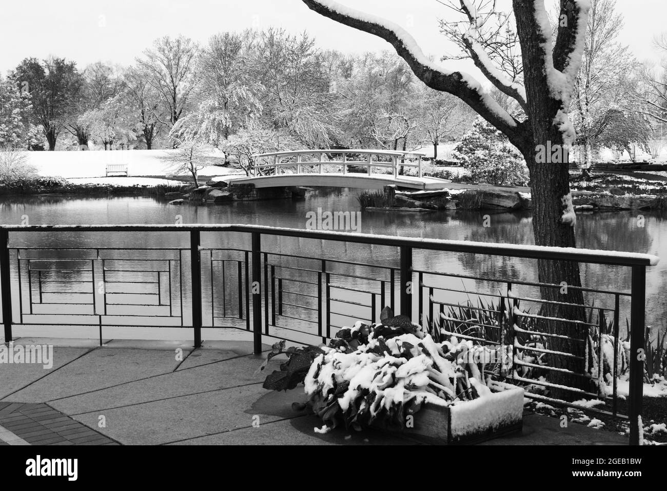 Le pont de Monet, vu juste après une chute de neige printanière. Cox Arboretum Metropark, Dayton, Ohio, États-Unis. Banque D'Images