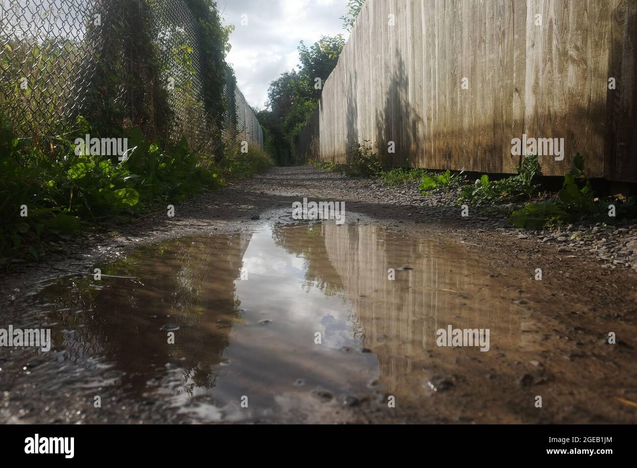 Août 2021 - réflexions de Puddle - Images mixtes de Cheddar à Axbridge cycle Path, partie du réseau national de cycle route 26. Banque D'Images