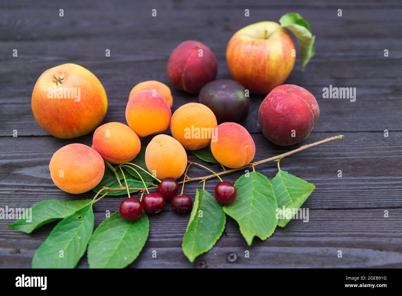 Un ensemble de fruits divers disposés sur une base de tableaux noirs. Il y a une branche avec des feuilles sous le fruit. Banque D'Images