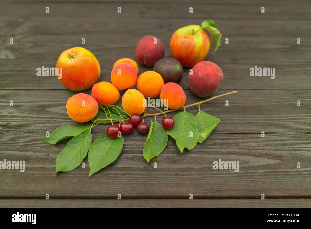 Un ensemble de fruits divers disposés sur une base de tableaux noirs. Il y a une branche avec des feuilles sous le fruit. Banque D'Images
