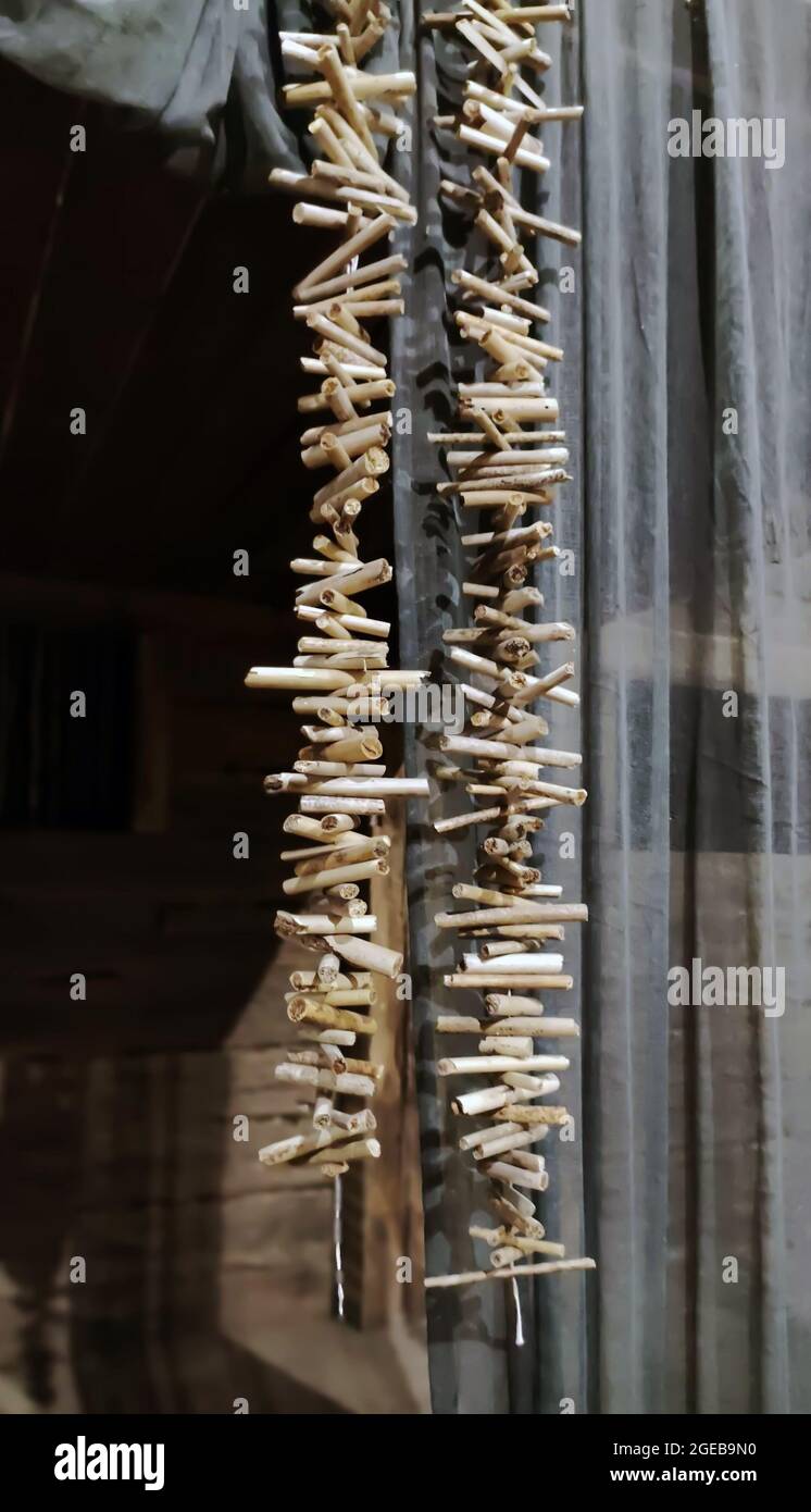 Valhalla échelles, connu de façon moderne sous le nom de guirlandes de bois flotté, décorations suspendues en bois flotté et utilisées pour la protection dans la maison ou le temple. Banque D'Images