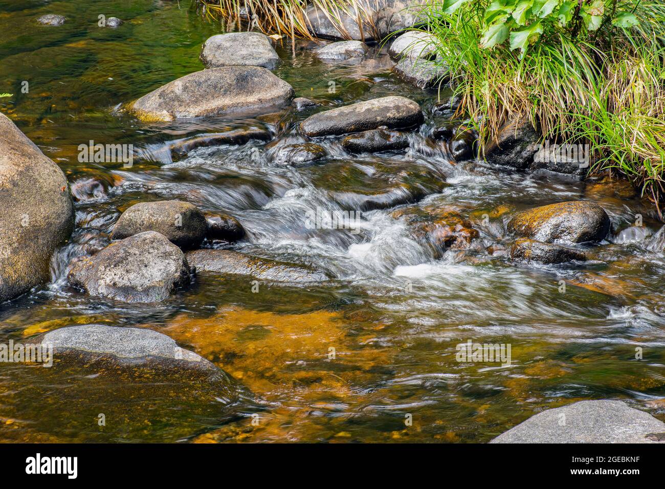 eau en cascade sur des rochers à la forêt de willard brook Banque D'Images