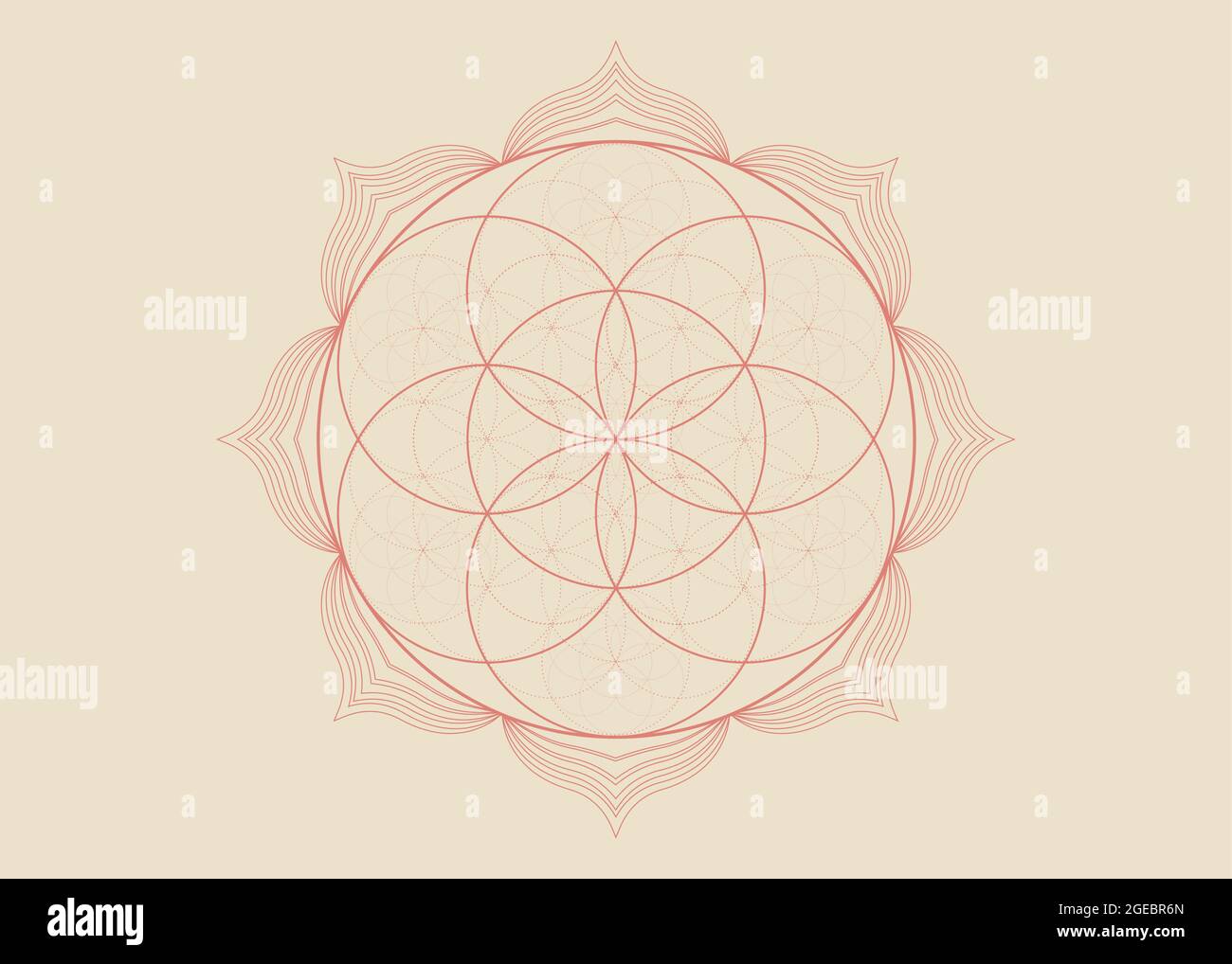 Géométrie Sacrée Tatouage Fleur De Vie Graine fleur de vie Lotus icône, yantra mandala géométrie sacrée, tatouage  symbole de l'harmonie et de l'équilibre. Talisman mystique, vecteur de  lignes de couleur henné Image Vectorielle Stock - Alamy
