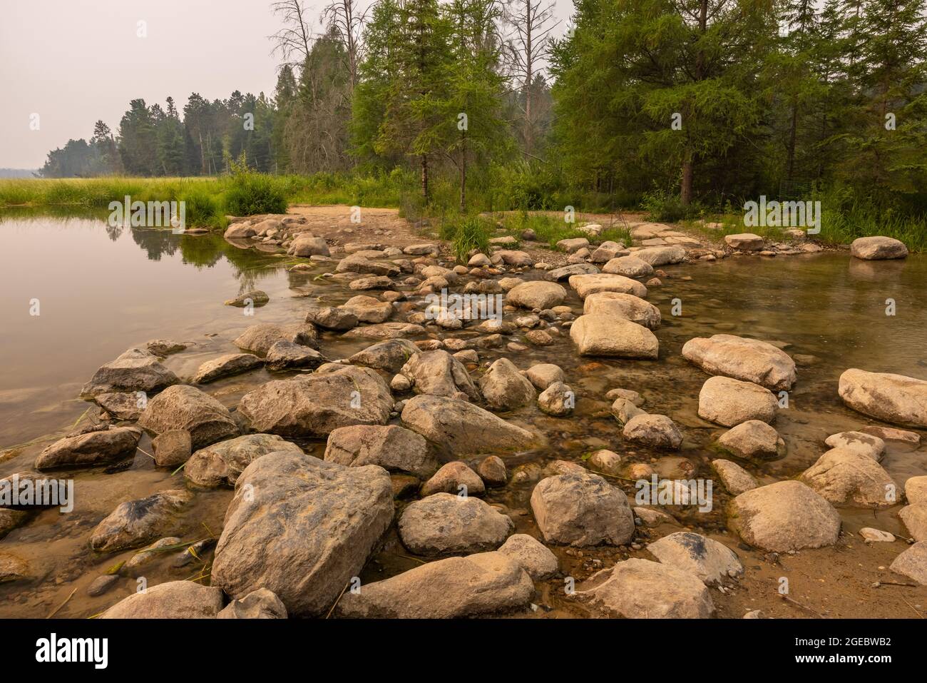 Les sources du fleuve Mississippi au lac Itasca. Il y a une brume fumée des feux de forêt. Banque D'Images
