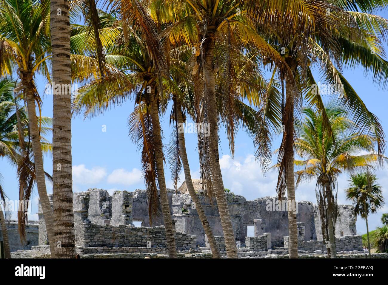 Parc national de Mexico Tulum - Parque Nacional Tulum - paysage côtier avec ruines mayas Banque D'Images