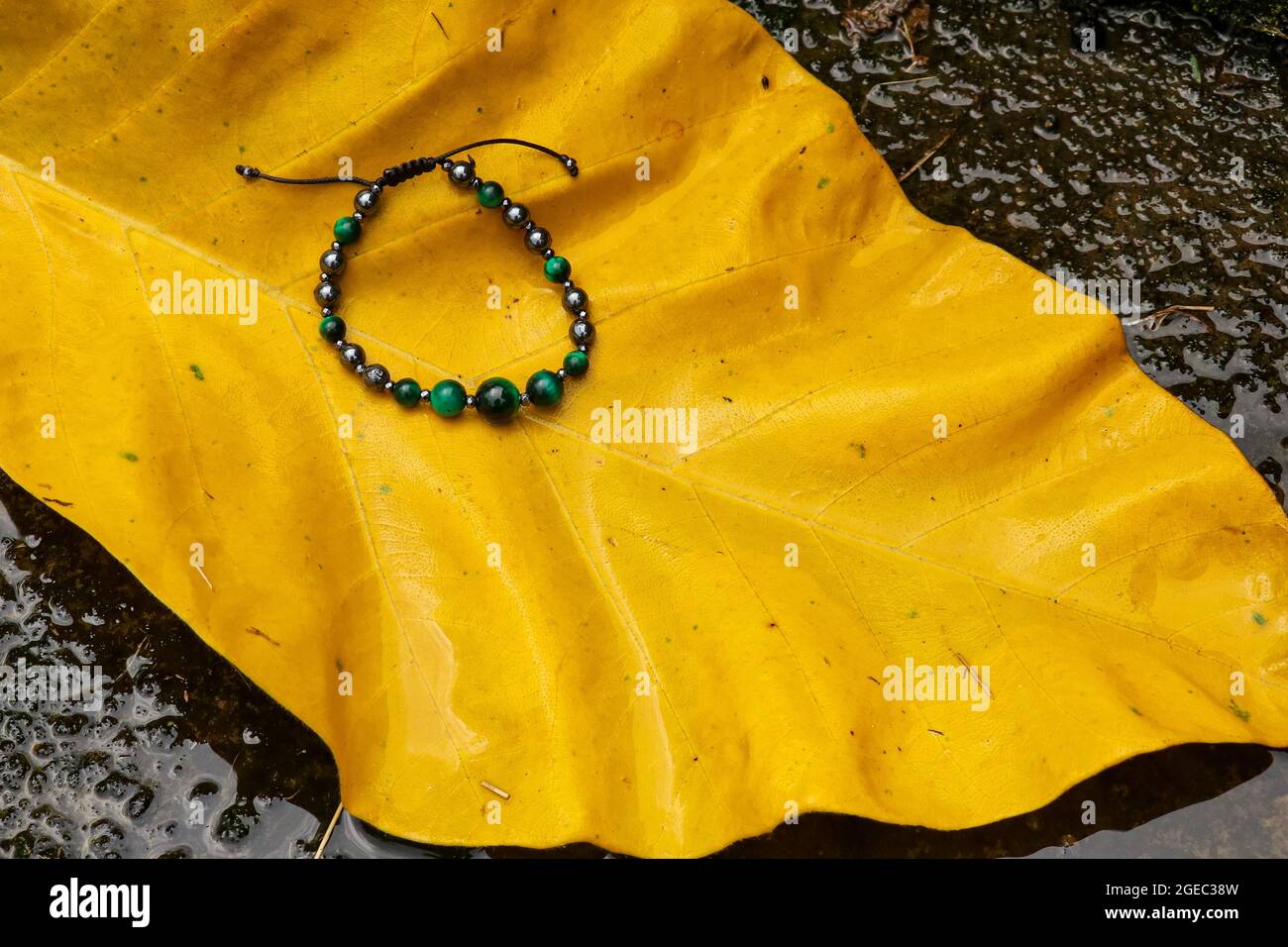 un bracelet perles rondes sur des feuilles vertes jaunes avec un dos en pierre Banque D'Images