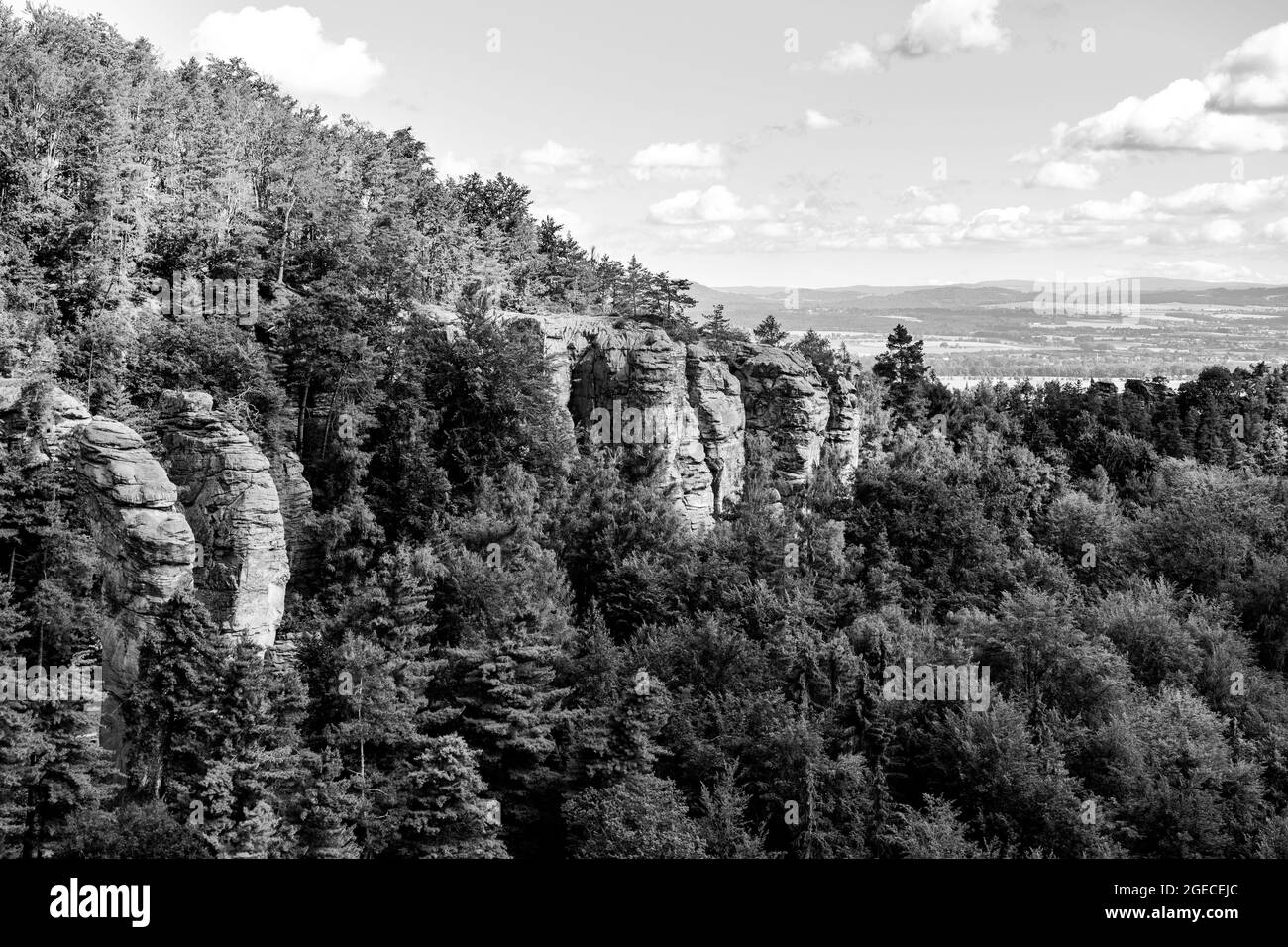 Prihrazy Rocks, Tchèque: Prihrazske skaly, le jour d'été ensoleillé. Bohemian Paradise, République tchèque. Image en noir et blanc. Banque D'Images