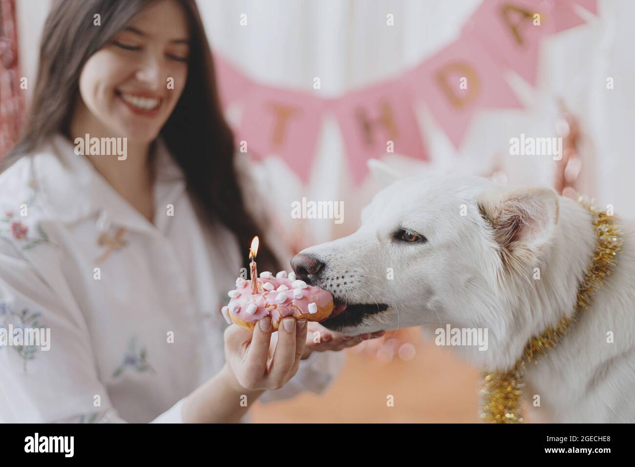 Fete D Anniversaire Pour Chien Bonne Jeune Femme Celebrant Le Premier Anniversaire De Son Chien Avec Un Donut Festif Avec Une Bougie Sur Fond De Guirlande Rose Et De Decorations Ado Photo Stock