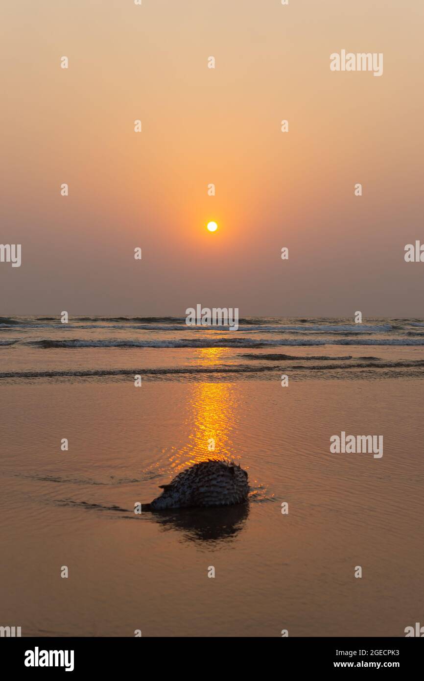 La Vue Magnifique Du Coucher De Soleil Depuis Le Bord De Mer Avec Les Vagues Photo Stock Alamy