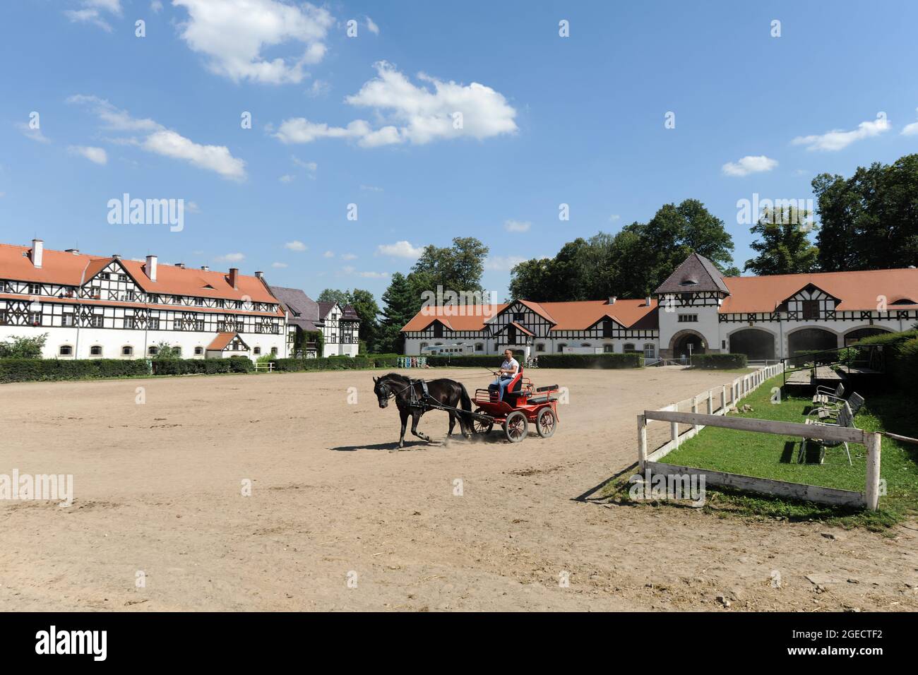 Ksiaz Stud Farm, homme d'entraînement de cheval dans l'arène extérieure avec des bâtiments stables derrière, Walbrzych, Basse Silésie, Pologne Banque D'Images