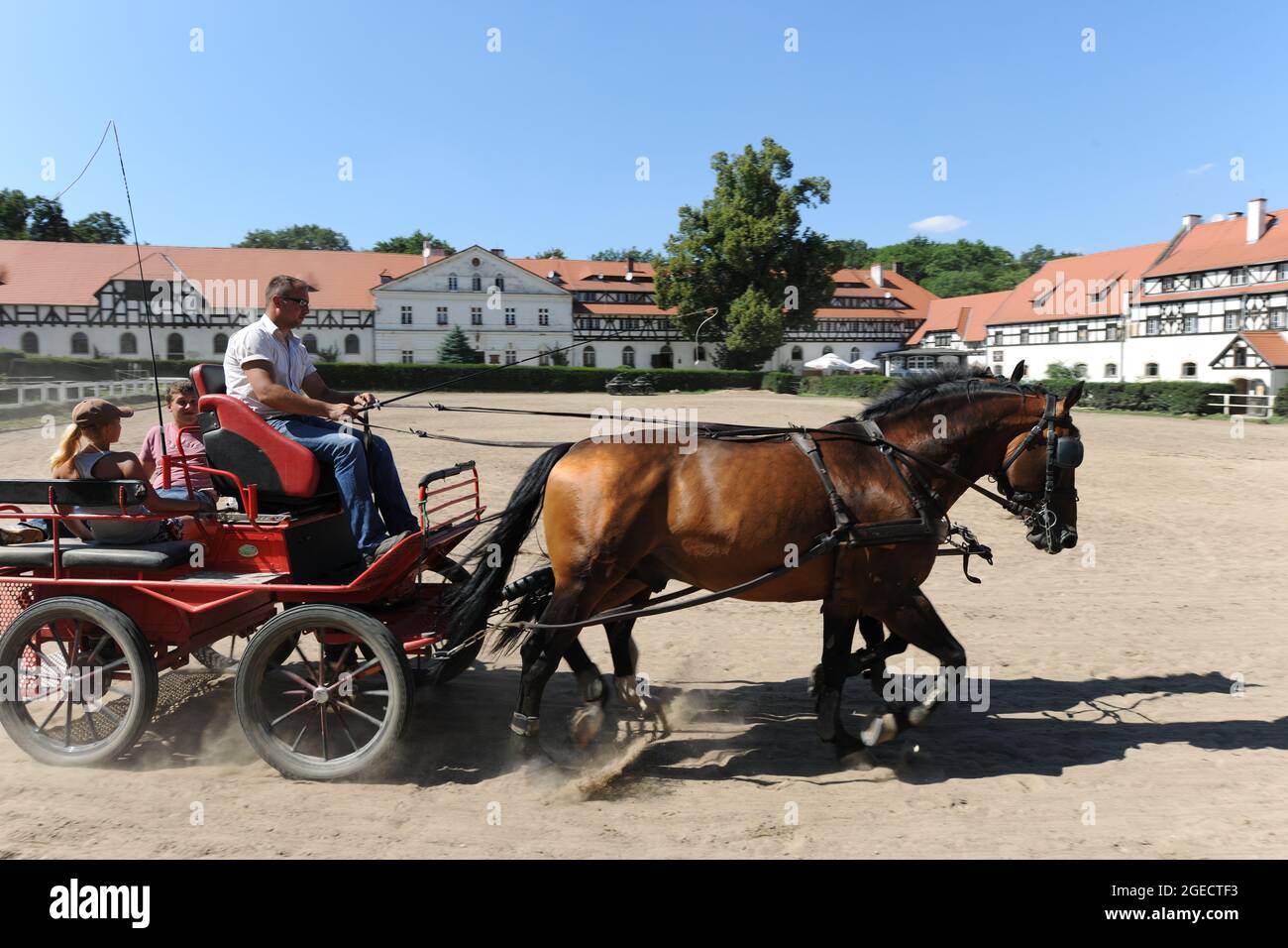 Ksiaz Stud Farm, homme d'entraînement de cheval dans l'arène extérieure, Walbrzych, Basse Silésie, Pologne Banque D'Images